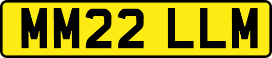 MM22LLM