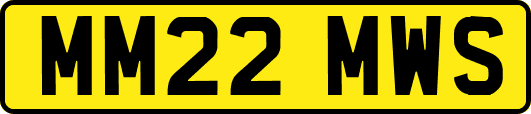 MM22MWS