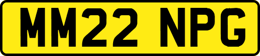 MM22NPG