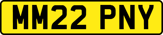MM22PNY