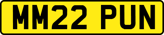 MM22PUN