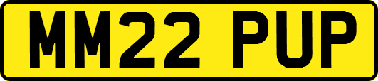 MM22PUP