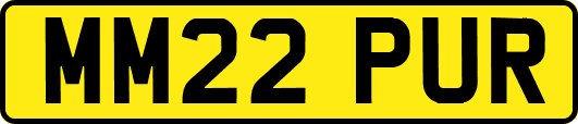 MM22PUR