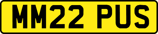 MM22PUS