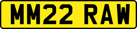 MM22RAW