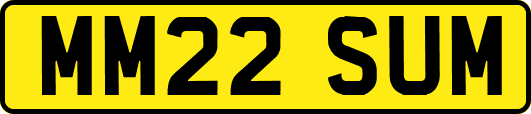 MM22SUM