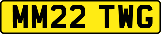 MM22TWG