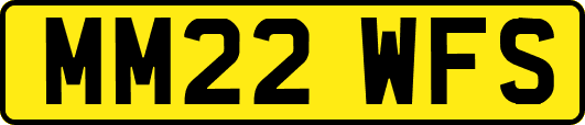 MM22WFS