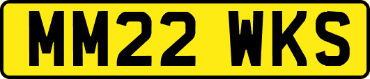 MM22WKS