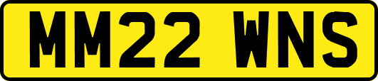 MM22WNS