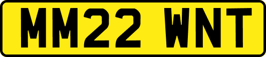 MM22WNT