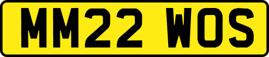 MM22WOS