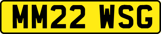 MM22WSG