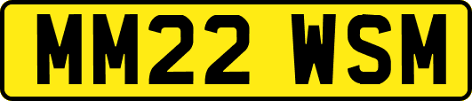 MM22WSM