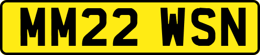 MM22WSN