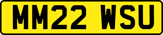 MM22WSU