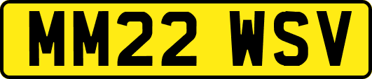 MM22WSV