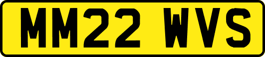 MM22WVS