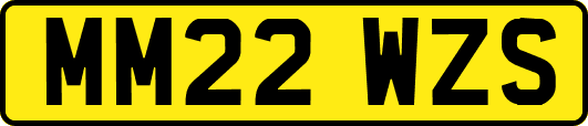 MM22WZS