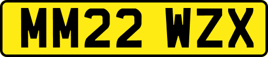 MM22WZX