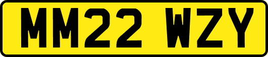 MM22WZY