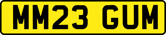 MM23GUM