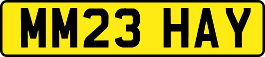MM23HAY