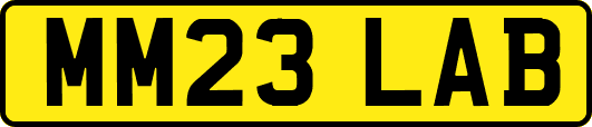 MM23LAB