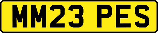 MM23PES