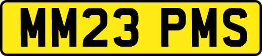 MM23PMS