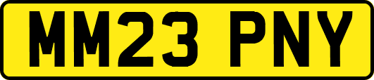MM23PNY