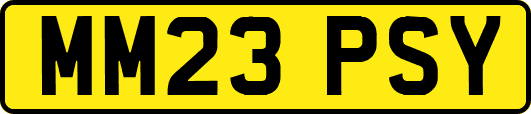 MM23PSY