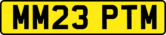 MM23PTM