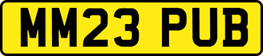 MM23PUB