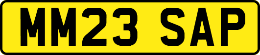 MM23SAP