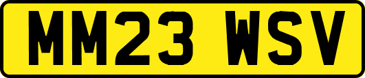 MM23WSV