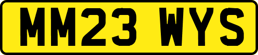 MM23WYS