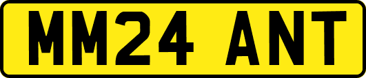 MM24ANT