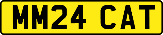 MM24CAT