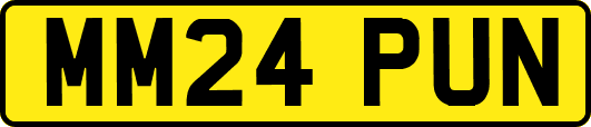 MM24PUN