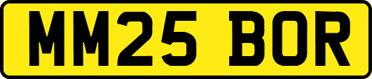MM25BOR