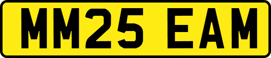 MM25EAM
