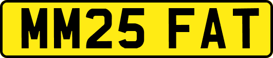 MM25FAT