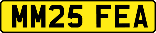 MM25FEA