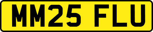 MM25FLU