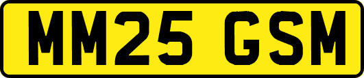 MM25GSM