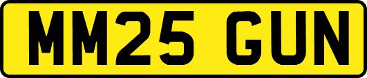 MM25GUN