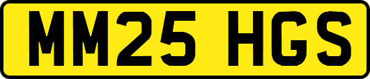 MM25HGS