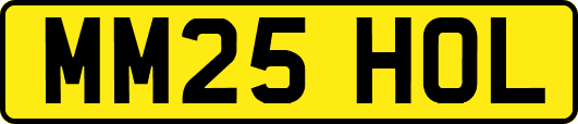 MM25HOL