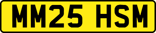 MM25HSM